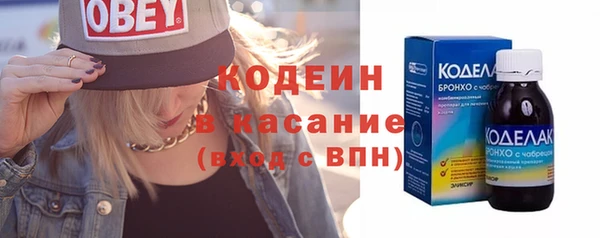 индика Балабаново