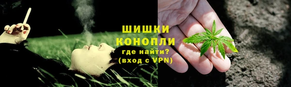 соль ск Арсеньев