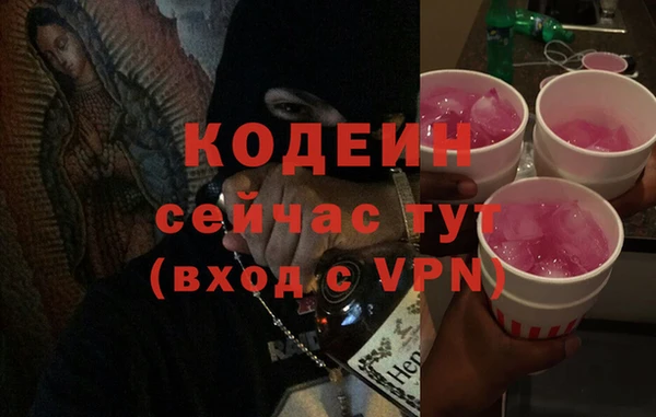 мдпв Новозыбков
