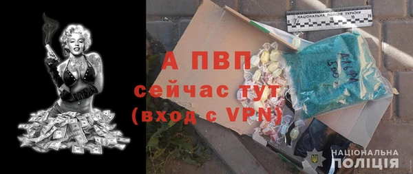 мдпв Новозыбков